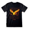 T-shirt Legendary Pokemon