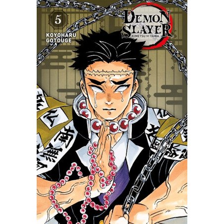 Demon Slayer - Edition Pilier T05