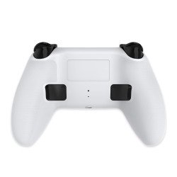 Manette Bluetooth pour PS5 LED - Blanche