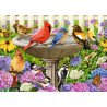 Le bain d'oiseaux