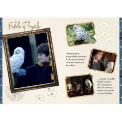 Harry Potter - Mes bracelets Hedwige - nouvelle édition