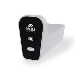 Batterie externe pour manette PS5 2500maH-câble Type C – Blanc