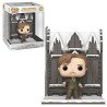 Harry Potter POP Deluxe Hogsmeade Shrieking Shack W/Lupin N°156