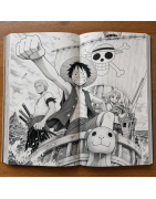 🏴‍☠️ One Piece – Manga