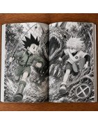 🎴 Hunter x Hunter